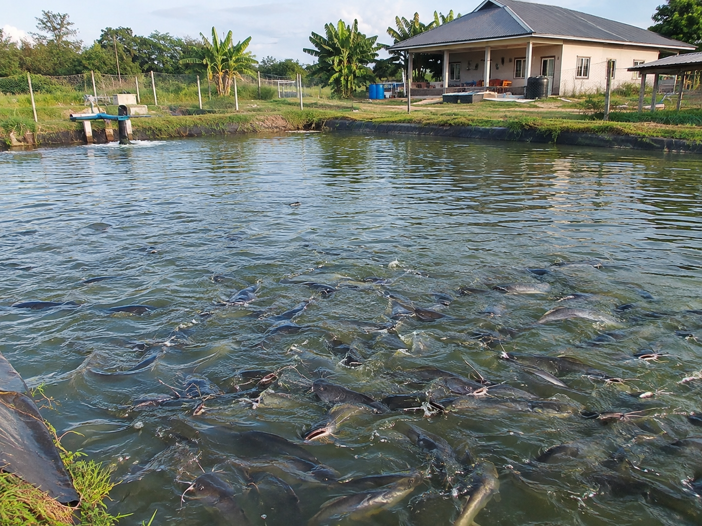 BMSL Secures EU Fish Export Certification